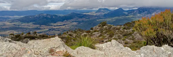 Mount Barney field site